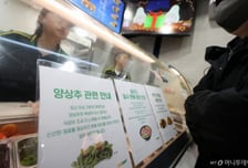 "샐러드 9500원, 더 비싸면 먹겠나"...양상추 값 폭등에 자영업자 비명