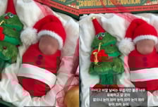 이시영, 신생아 딸을 선물상자에..."소품이냐" 비판에 영상 삭제