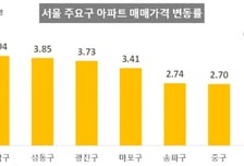 서울 아파트값 5년 2개월 만에 최고 상승률…동작 등 한강벨트 급등세