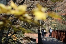 [내일 날씨] 비 내리는 월요일…낮 최고 20도지만 흐린 하늘