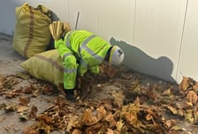 쓸어도 쓸어도 민원이 쌓였다