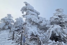 올겨울 기온·강수량 평년 수준…'기온 변동성' 크다