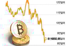 믿는 코인에 발등… 트럼프家 10억불 증발