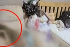 '온몸에 구더기' 사망한 부사관 아내…"변 눌어붙은 자국" 집안 사진 충격