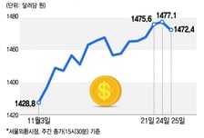생산적금융 앞두고…'1500원 턱밑' 고환율에 고개드는 연말 대출절벽