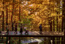 휠체어·유아차도 쉽게 오르는 무장애 '남산 하늘숲길' 인기