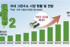 "재생에너지 보완, 수출 동력까지"…왜 결국 '수소'인가