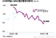 '콘텐츠 신드롬' 쫓던 통신사들…3년새 신기루처럼 사라지나