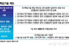 국가핵심기술 '보호·육성' 두토끼 잡으려면, '채찍·당근' 균형 잡혀야