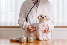 "동물보호자 알권리·재산권 범위 쟁점"