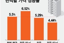 1인가구도 "큰 집"… 커지는 중대형 인기