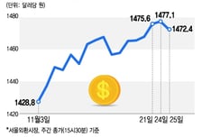 꺾이지 않는 환율… 연말 '대출 절벽' 오나