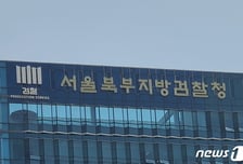 "위안부는 자발적 매춘" 전 경희대 교수…검찰, 불기소 처분