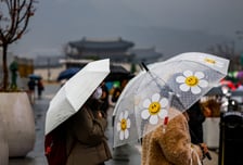 [내일 날씨] 전국 비·눈 내린다…강풍 동반한 요란한 비