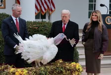 러우 종전 희망 부푼 트럼프 "1주일간 엄청난 진전"