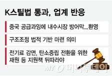 'K스틸법' 국회 문턱 넘었다…업계 "환영하지만…후속 필요"