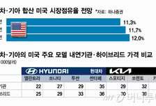 "인센티브는 낮추고 판가는 오르고"…현대차·기아 수익성 개선 기대