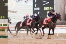 한국경마, 30일 제43회 G1서 정상 가린다