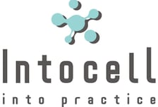 인투셀, B7-H3 타깃 고형암 치료제 임상 1상 美 FDA 승인