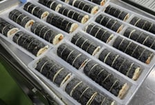 밥알 식감 그대로 살린 'K-대왕 냉동 김밥', 해외 수출한다
