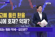 [메가사이클] 고삐 풀린 환율… 증시에 '호재 vs 악재'