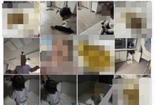 "이게 뭐야" 휴대폰 사진첩에 가득한 X 사진…다 이유가 있다[40육휴]