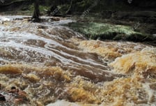 "홍수로 호텔 방에 갇혔어" 남편 반전, 옆엔 불륜녀...임신한 아내 충격