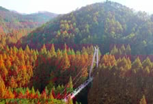 [내일 날씨] 서울 낮 기온 12도, 추위 주춤…큰 일교차 주의