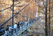 [오늘 날씨] 아침까지 춥다가 낮 부터 '따듯'…밤에는 비소식