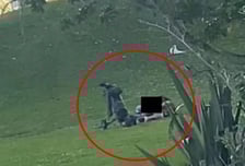 "마네킹인 줄" 골프장서 성관계한 커플...입소문에 방문객 '폭발'