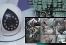 '그것이 알고싶다' 홈캠·탈의실까지…일상이 음란물로 팔린다