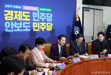 '이언주 불출마' 與 지도부 유지 가닥...親정청래 체제 강화되나