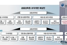 [단독]"원장 직속 소비자보호총괄본부"…이찬진표 '조직개편' 윤곽