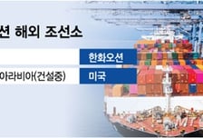 신흥시장vsNATO…엇갈리는 'K특수선' 수출 전략