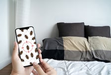 "빈대에 물렸다" 제보 잇따라…파리 '시네마테크' 결국 한달간 폐쇄