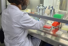 아프리카돼지열병 청정 전남 유지 온 힘…예찰·정밀검사 강화