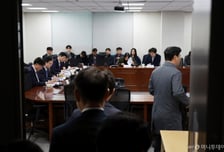 원화 스테이블코인, '은행 지분 51% 컨소시엄'으로 가닥