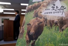 제주산 한우·돼지고기, 싱가포르 간다…초도물량 4.5t 규모