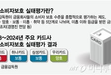 [단독]카드사 '소비쿠폰 민원', 소비자평가서 빼나..당국, 전향적 검토