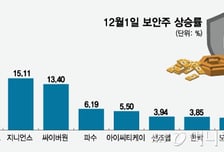 같은 보안주인데..."쿠팡 털렸다" 여긴 상한가, 저긴 '찔끔 상승' 왜?