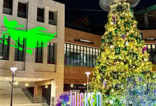 2025년 마지막 할인 축제  롯데아울렛, '더 블랙위크' 진행