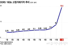 "없어서 못 판다" D램 가격 폭등...주도권 잡은 삼전·하닉