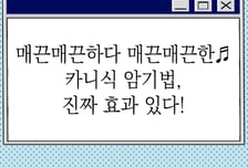 [곰국툰] "매끈매끈"…'카니식 암기법' 과학적 효과 있었네