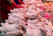 "어쩐지 배고프더라" 꼼수 인상 차단...'치킨 1마리' 대신 '990g'