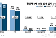 브레이크 걸린 K자동차… 현대차·기아 판매량 두달째 '뚝'