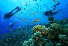 노랑풍선, 필리핀 인기 여행지 '옐로팡딜' 진행