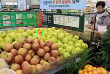 환율이 올린 물가…석유·농산물 동반 급등, 올해 최고치