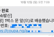 URL 아예 없애야? '정보 유출' 쿠팡, 문자엔 여전히..."이러다간 2차 피해"