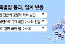 K석화법도 국회 문턱 넘었다…업계 "구조조정 발판 마련했다" 환영