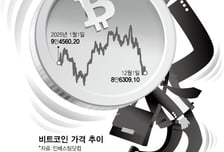 8만달러도 위태… '비틀'코인